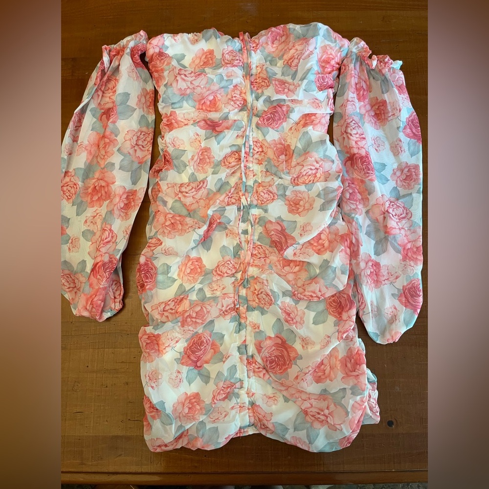 Rose Floral Mini Dress